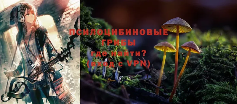 Галлюциногенные грибы Psilocybine cubensis  продажа наркотиков  Димитровград 